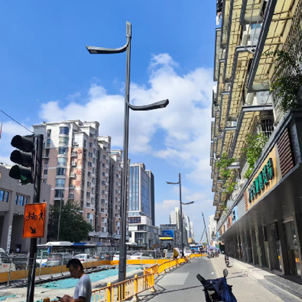 Smart comprehensive pole